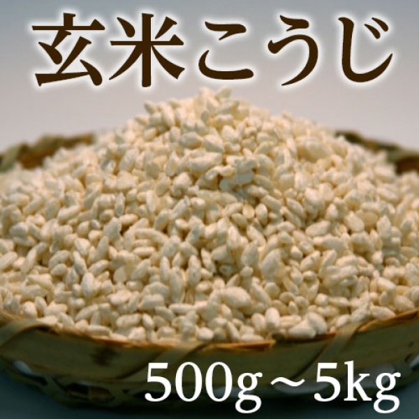 画像1: 玄米こうじ (1)