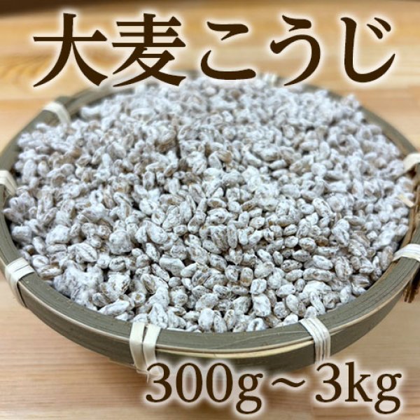 画像1: 大麦こうじ (1)