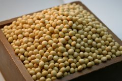 長野県産極上大豆